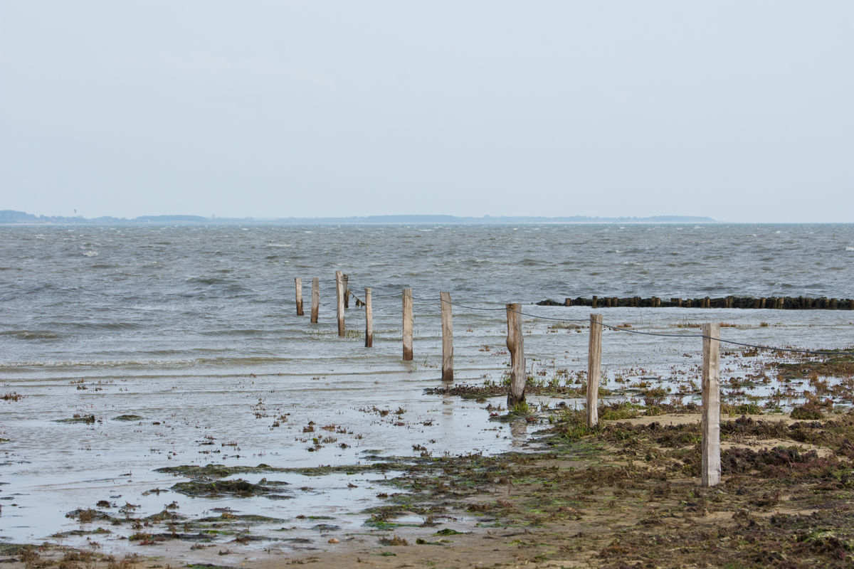 Amrum-2020-91.jpg