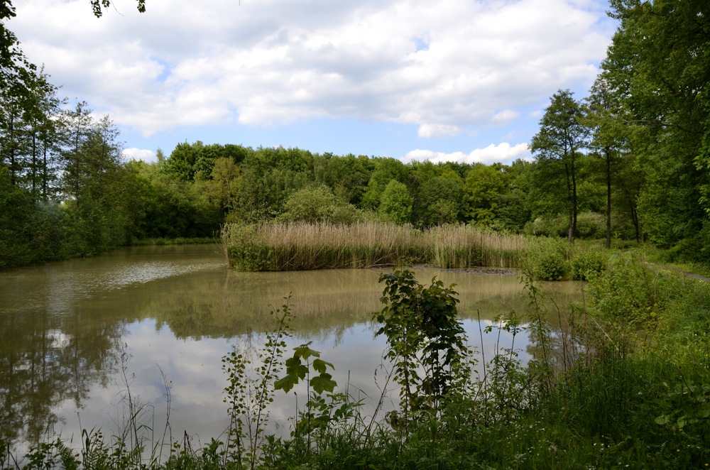 amteich02