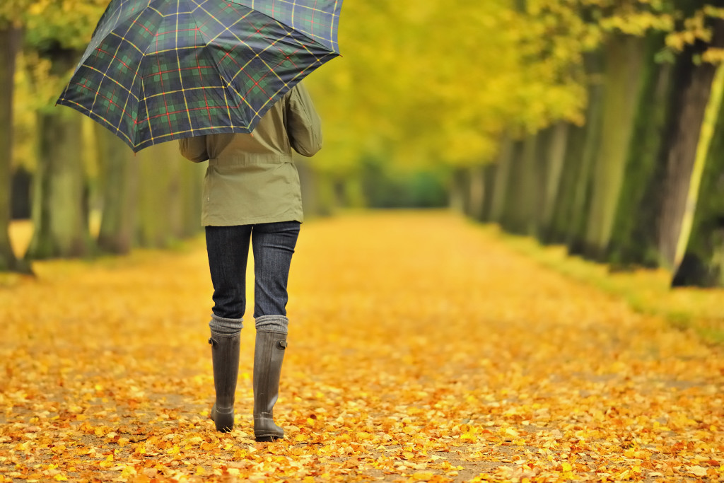AN 006 Herbstportraits