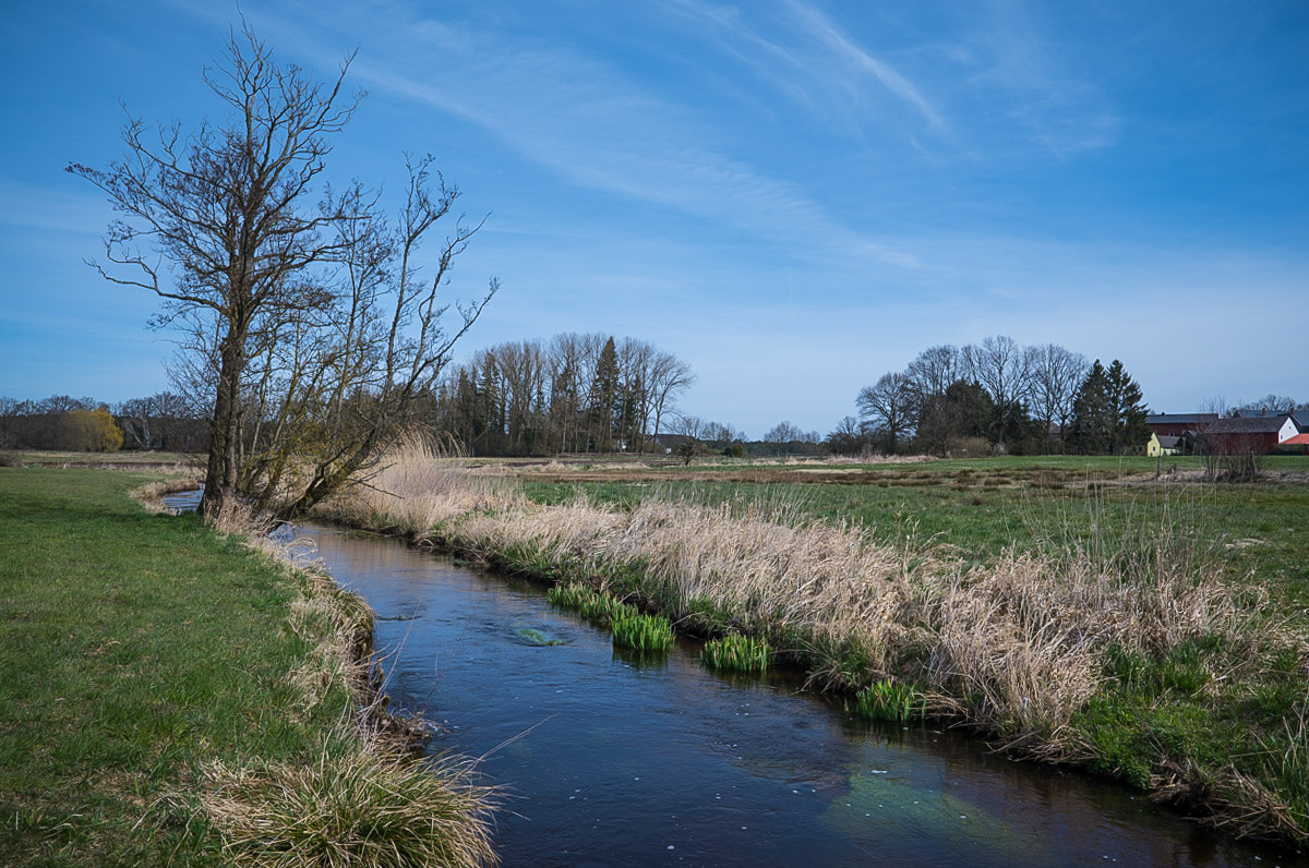 An der Aue (1 von 1).jpg