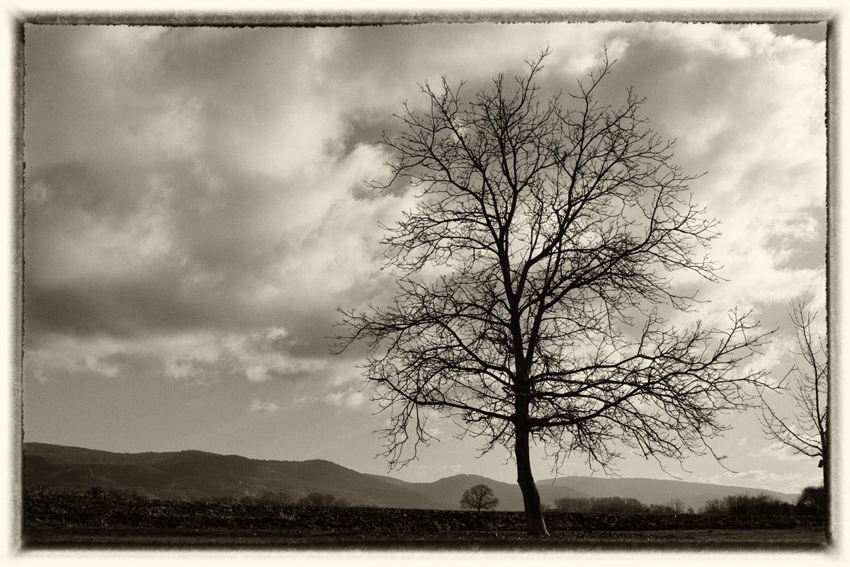 an der bergstrasse_1200.jpg