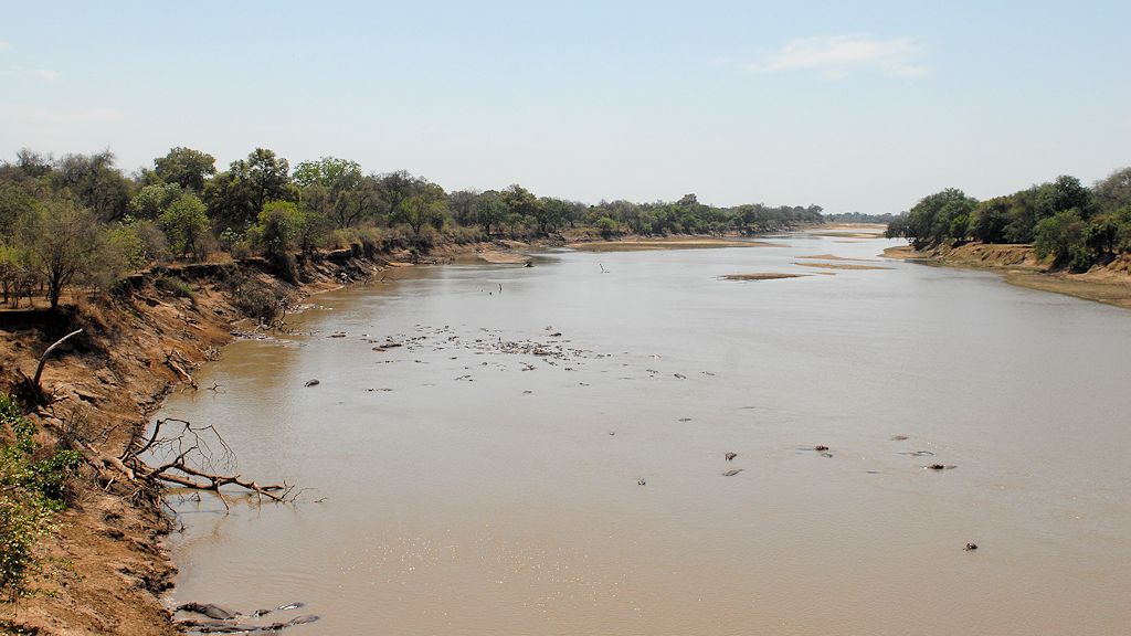 An der Brücke über den Luangwa
sammeln sich die Nilpferde
3814