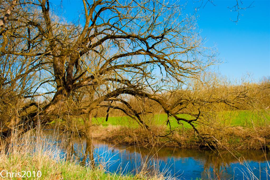 an der Donau