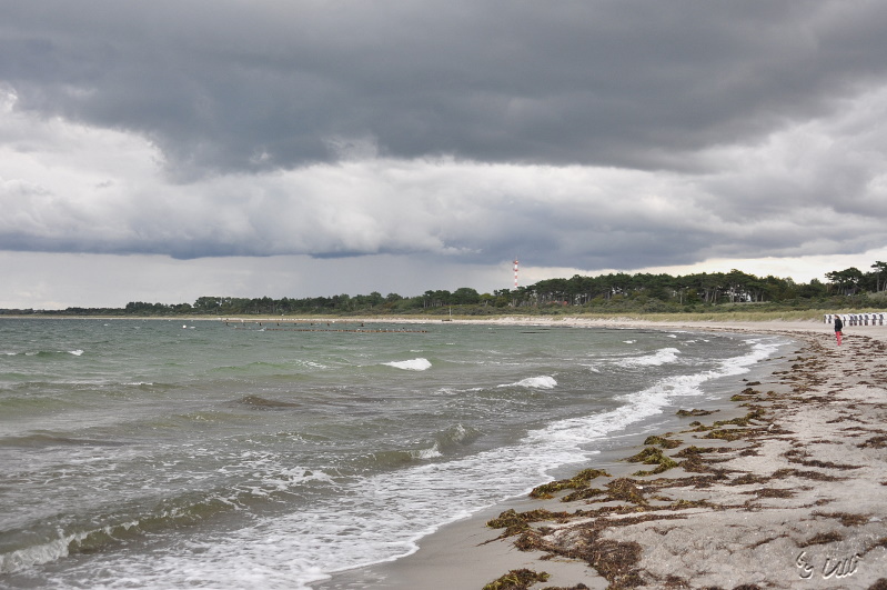 An der Ostsee - Hohe Düne 1