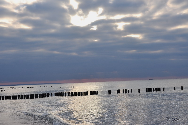 An der Ostsee - Hohe Düne 2