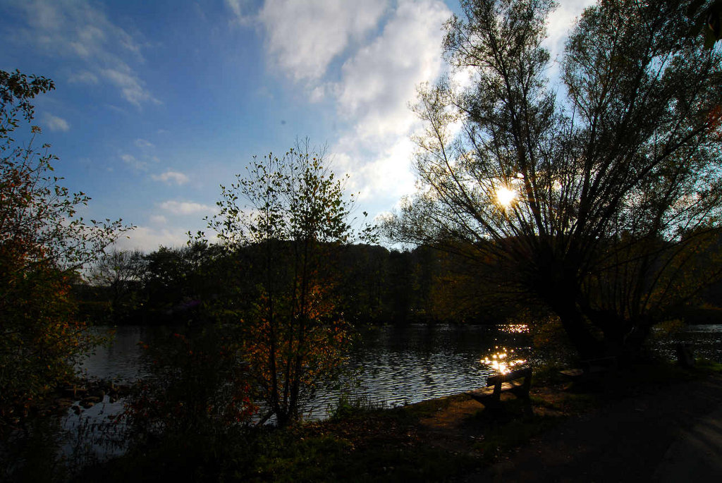 An der Ruhr unterhalb des Zweibrücker Hofś zwischen Hengsteysee und Hakortsee.