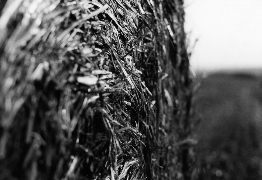 analog ports aug 2009 018