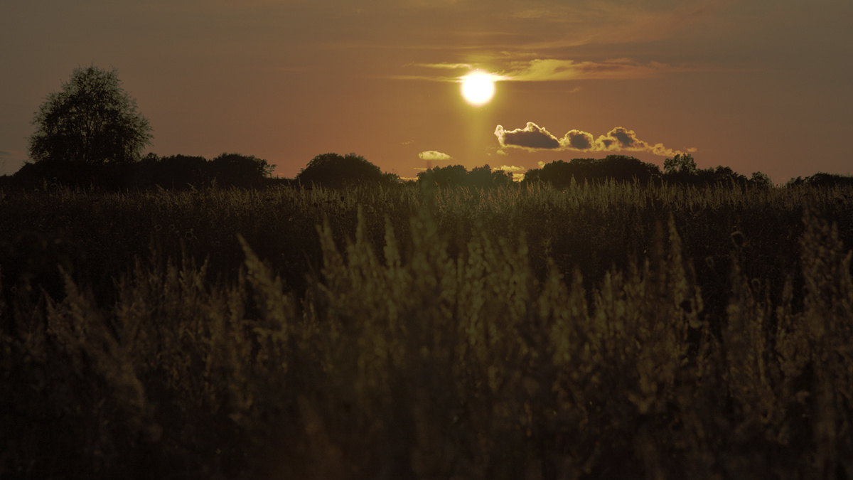 Anfang September, Sonnenuntergang im allerbesten Altweibersommer