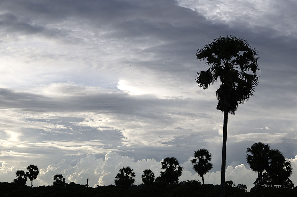 Angkor Wat S51