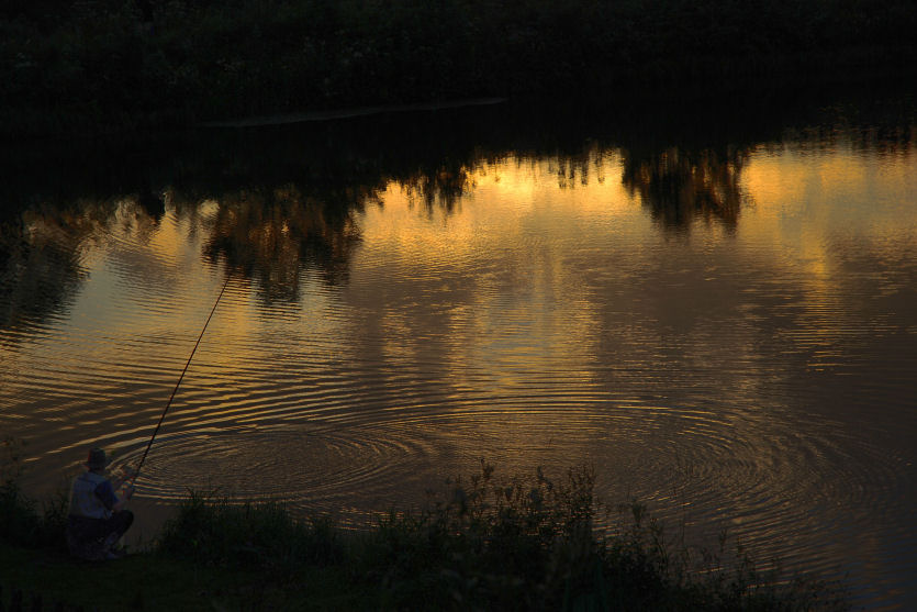 Angler