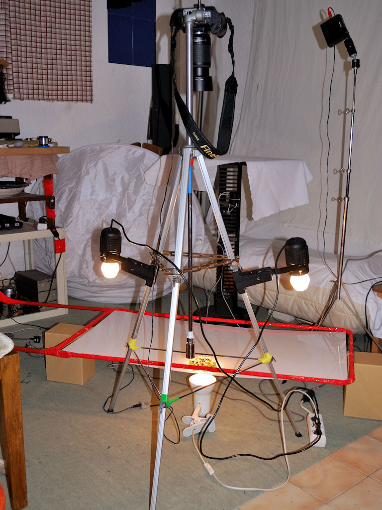 Anordnung zum Fotografieren gelblich durchscheinender Objekte:
Objekt auf Opalglasscheibe, diese von unten mit 1x 60 W SoftTone durchleuchtet, seitlic