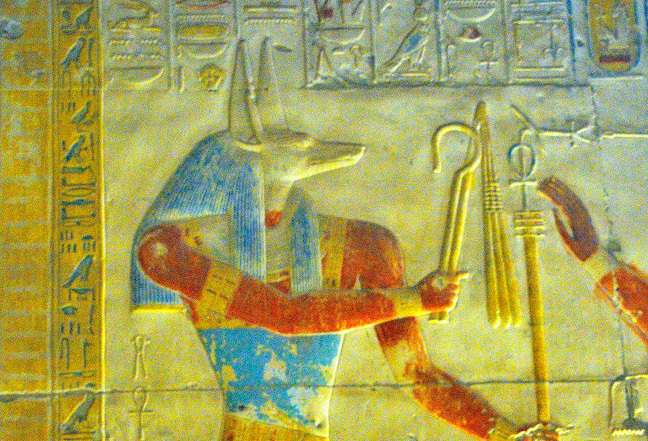 anubis Crop