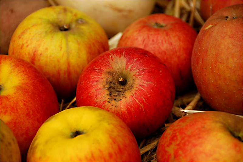 appel ohnerahmen