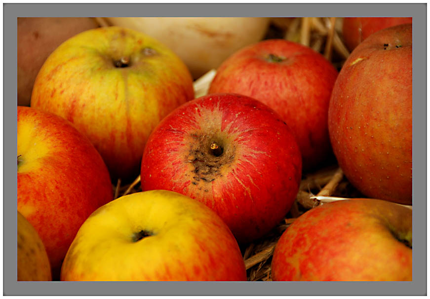 appel