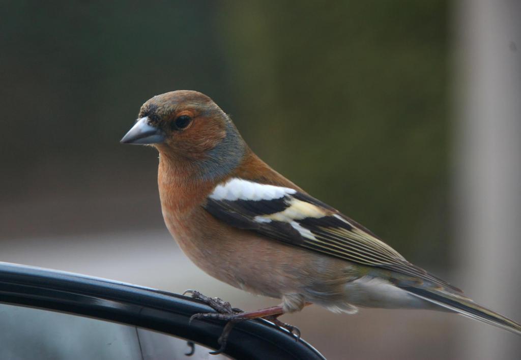 April 10 083