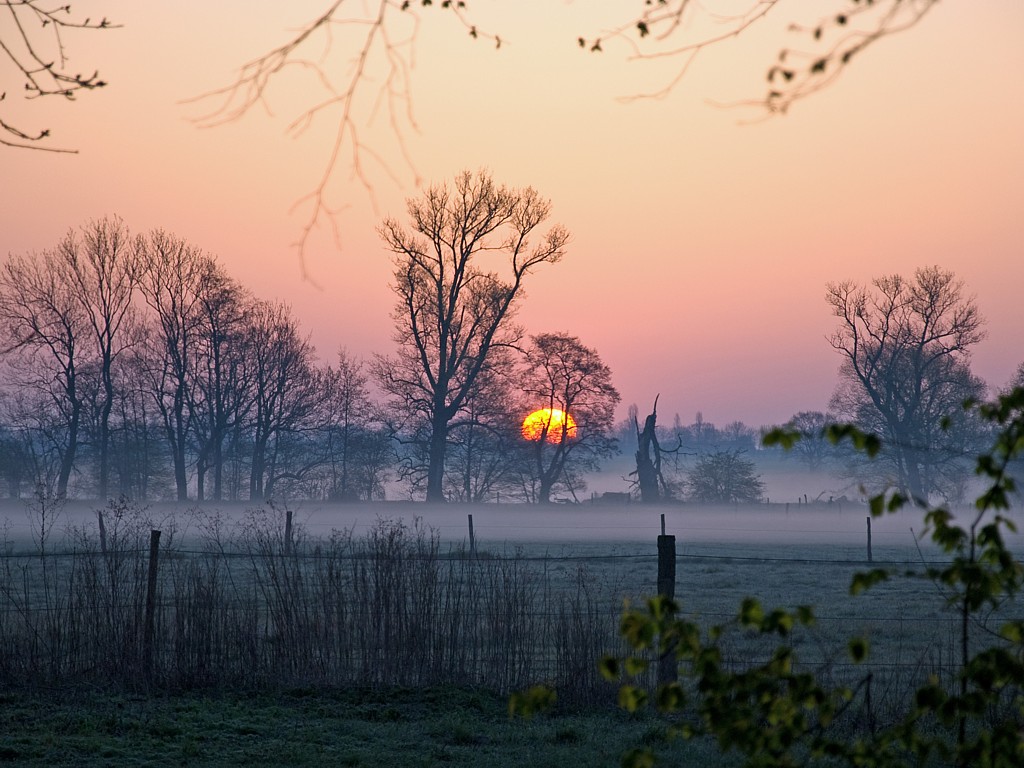 Aprilmorgen 1
