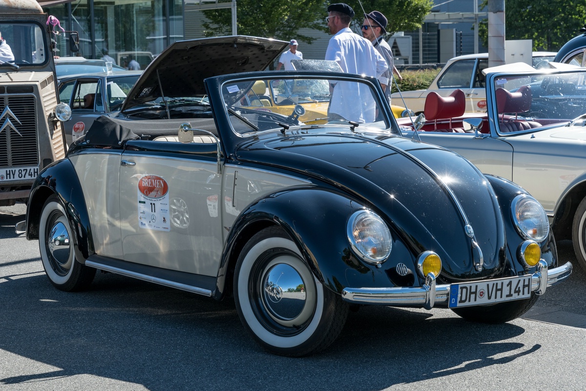 ar-299-10.jpg