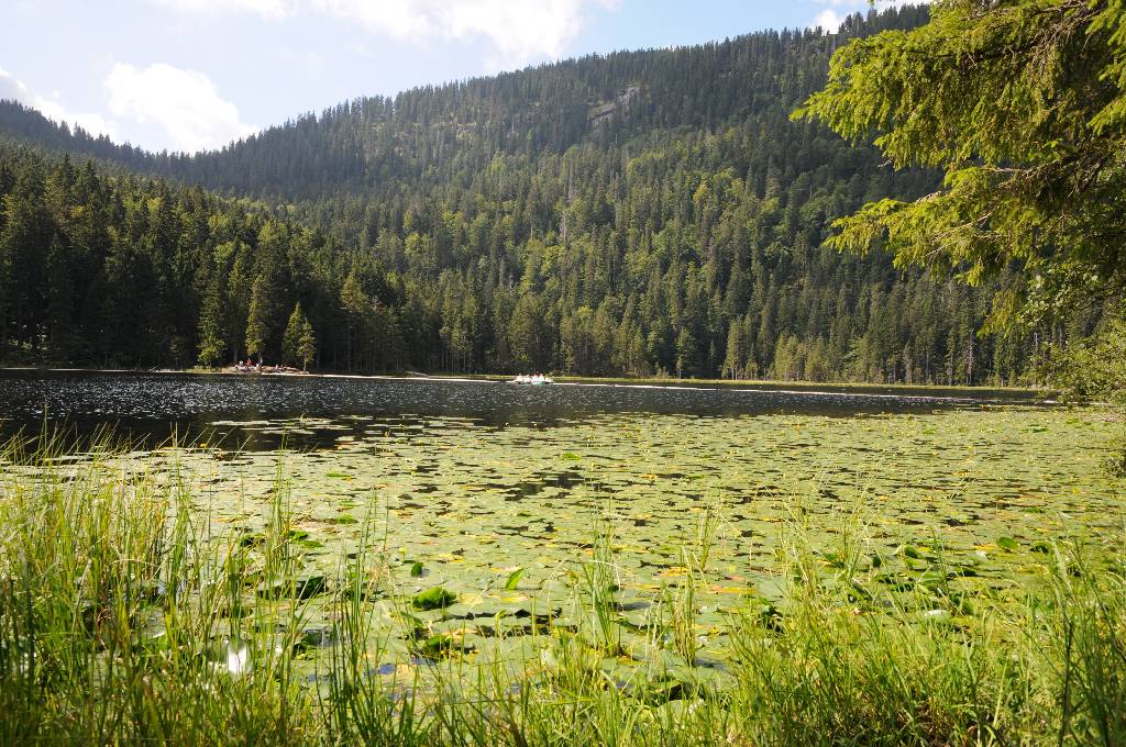 Arbersee