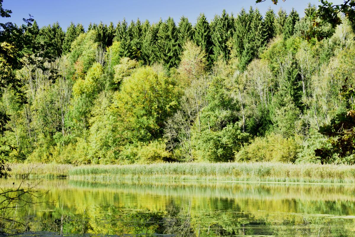 Argenstausee bei Gotrazhofen