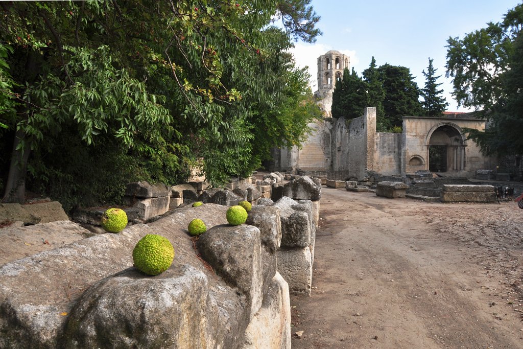 Arles, les Alyscamps