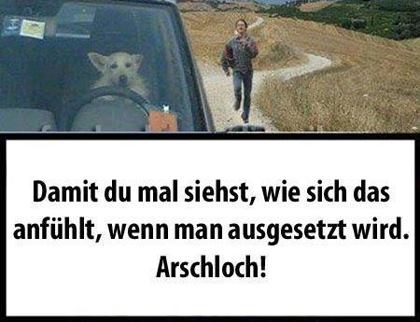 arschloch