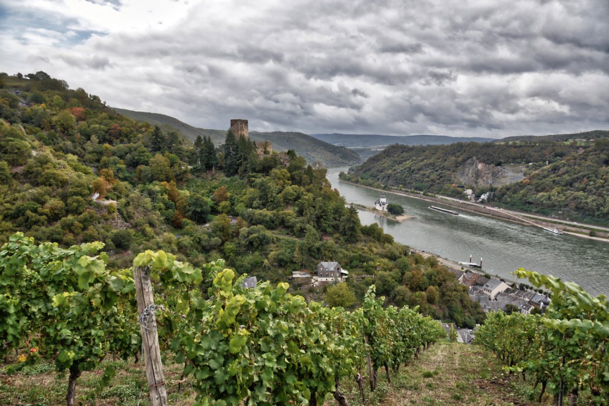 asbach.jpg