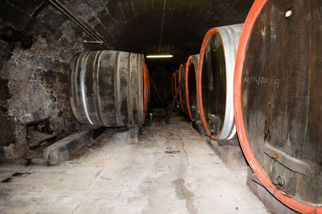 ASV   Weingut Kern less Tee 12 06 2010 099