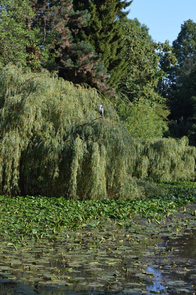 Athmosphäre im Park