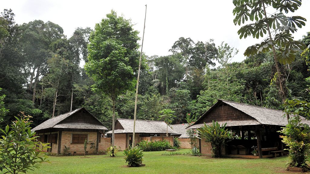 Atta Lodge
im Iwokrama Rainforest
1188