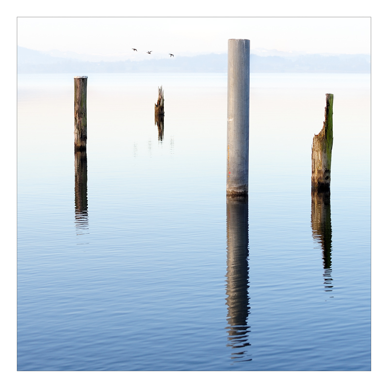 Auf dem See 08