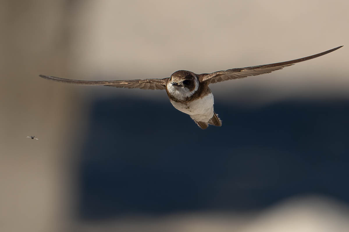 Auf der Flucht