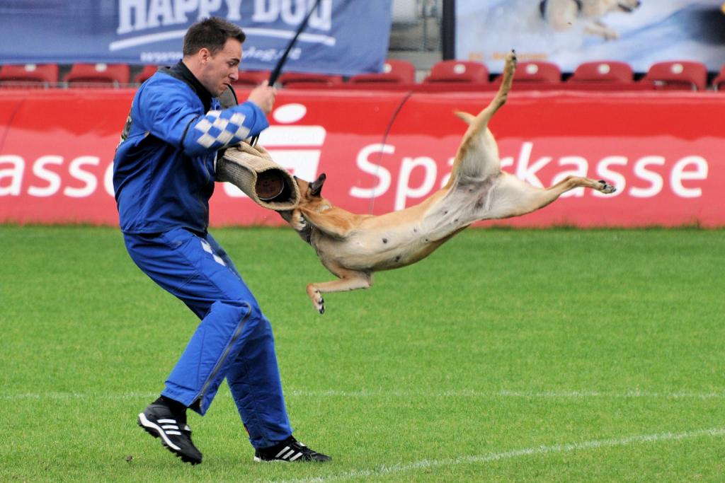 Auf der FMBB WM 2010 in Cottbus. Höchstleistungen von Hund und Helfer.