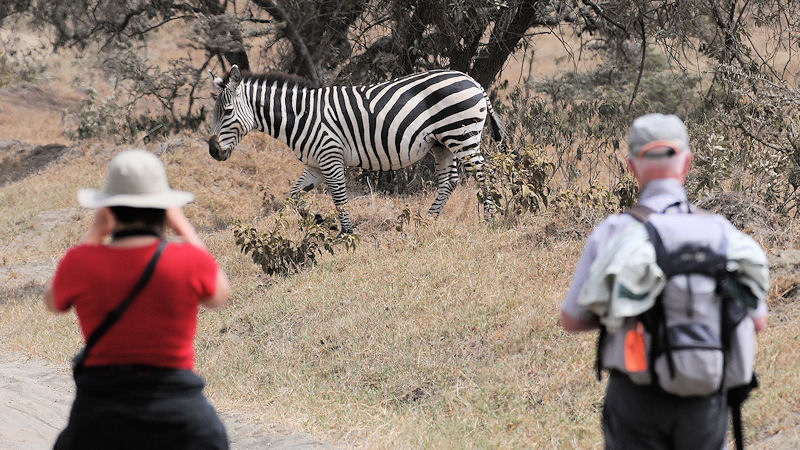 Auf Fußsafari im Hells Gate Nationalpark
Dank netter Reisegruppe mit Otto-Normal-Touristen,
die leichtfüssig mit kleiner Kameraausrüstung
voranstürmen