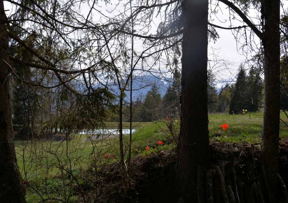 Auf Wanderschaft