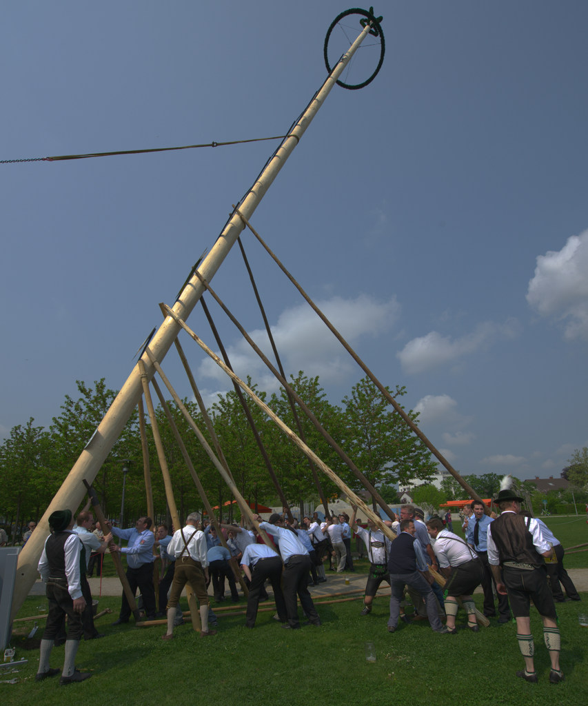 Aufstellen des Maibaumes in Burghausen, 2009