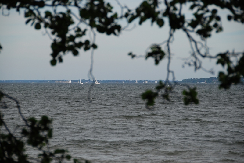 ausblick 2