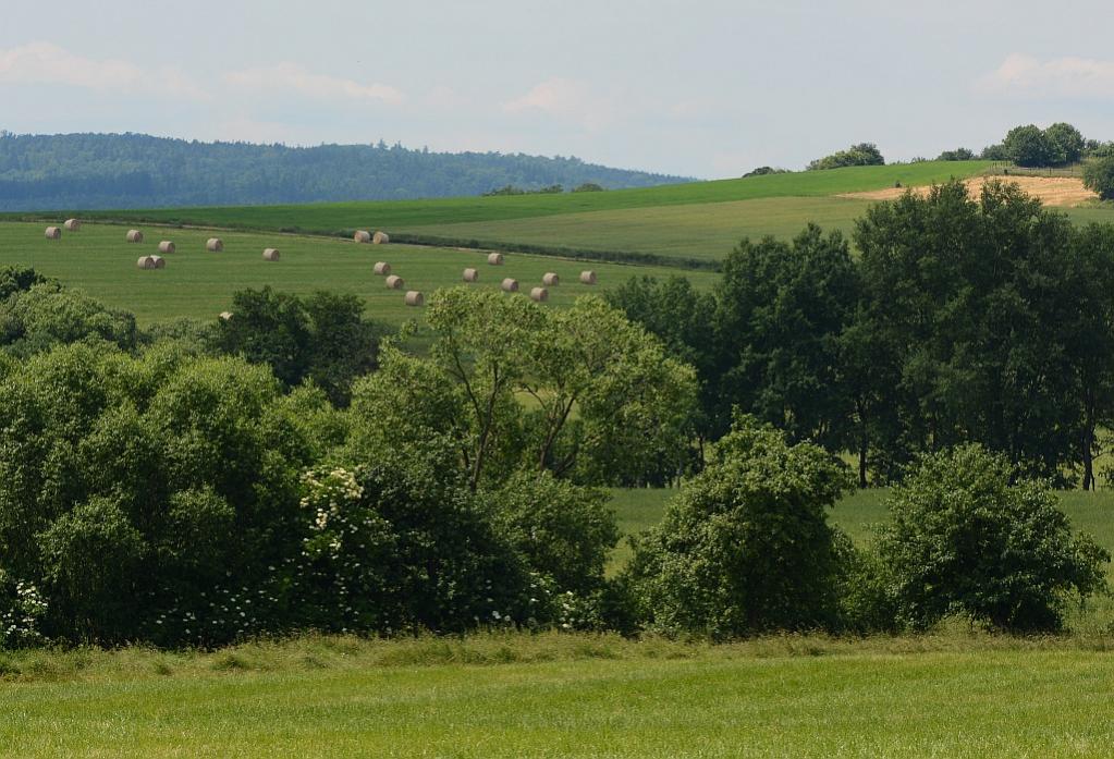 ausflug3