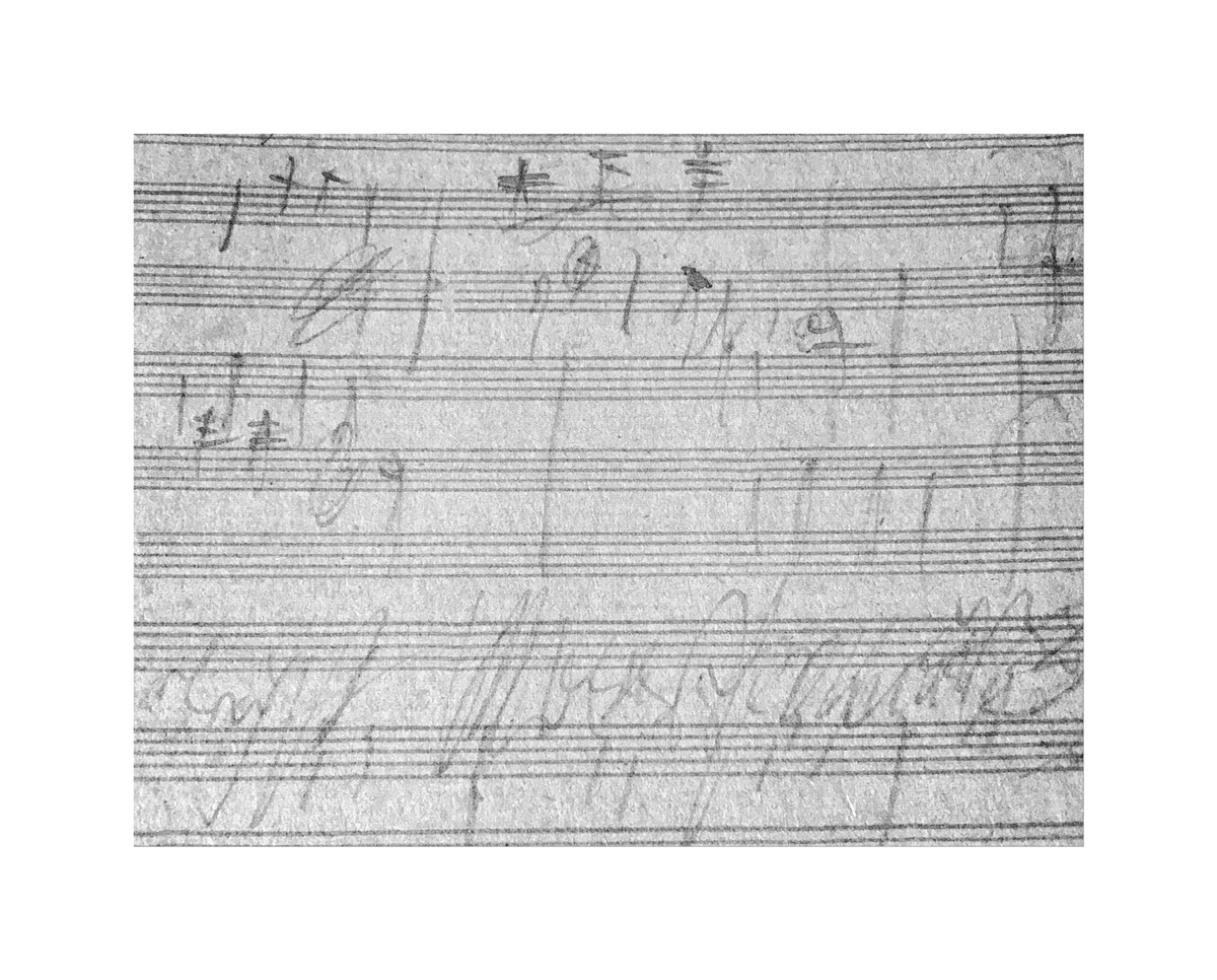 AusIMG 1140