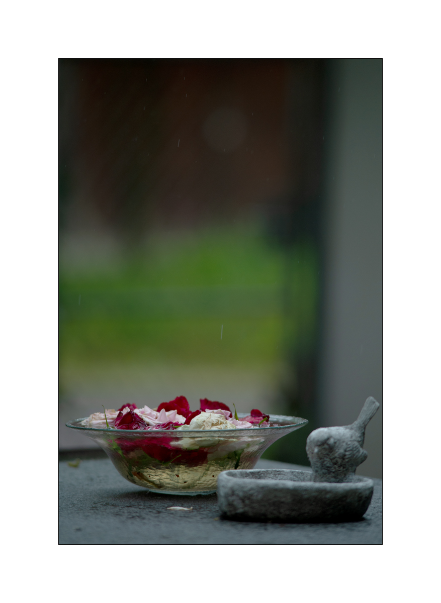 AusPZ1_1148.jpg