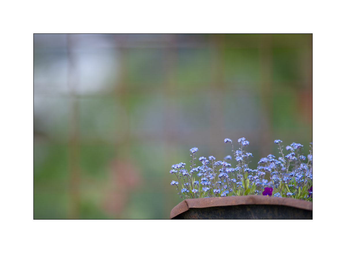 AusPZ1_1214.jpg