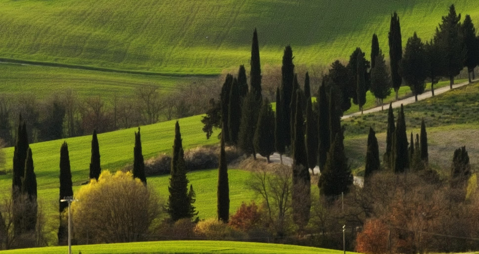 Ausschnitt bei Pienza