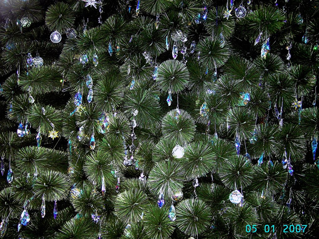 Ausschnitt vom Berliner Weihnachtsbaum, auch "Klobürstenbaum" genannt.