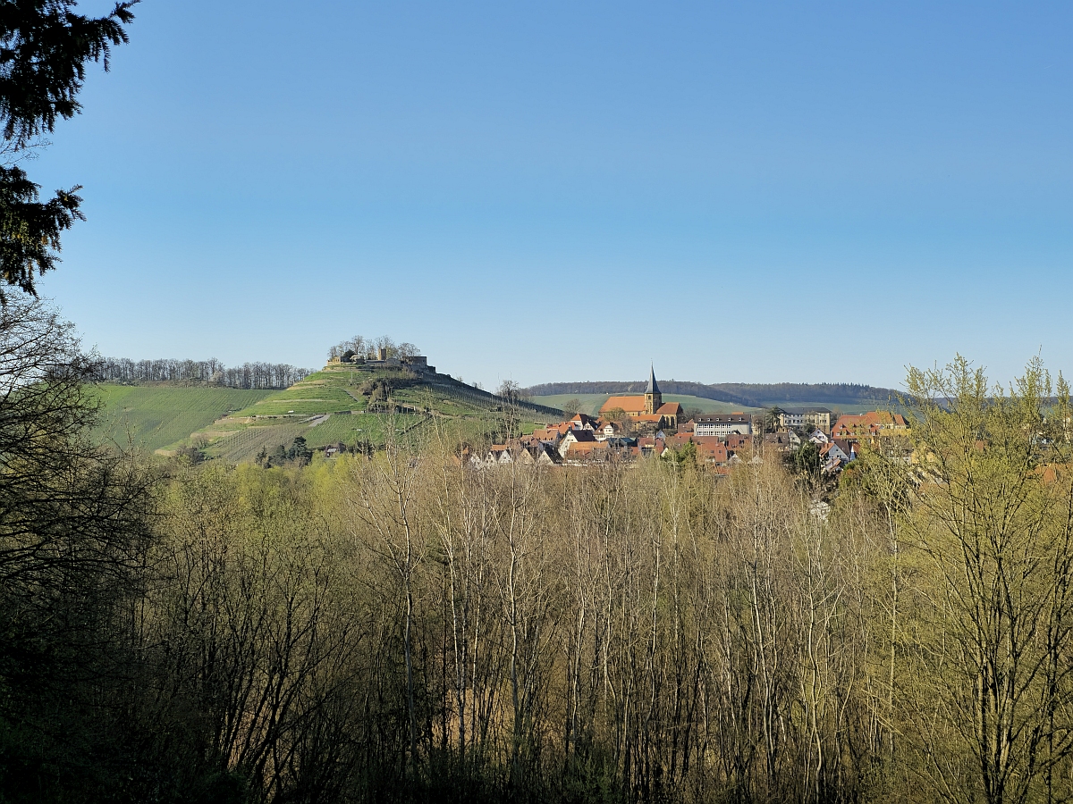 Aussicht Ziegeleipark.jpg