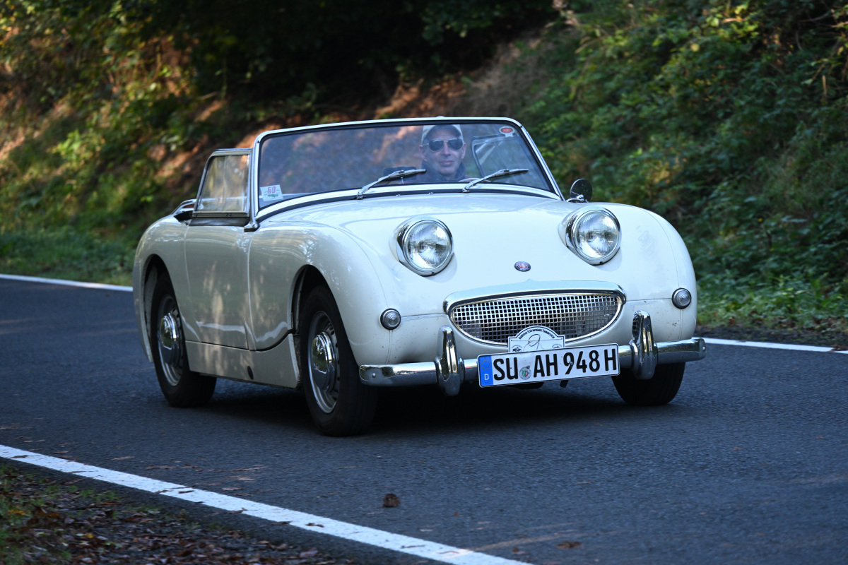 Austinhealey.JPG