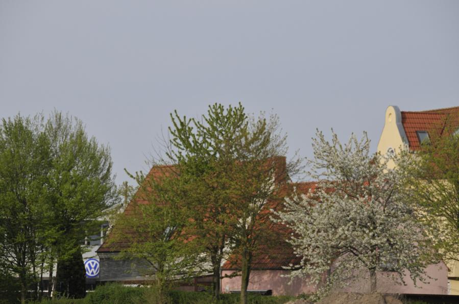 Auto &amp; Natur