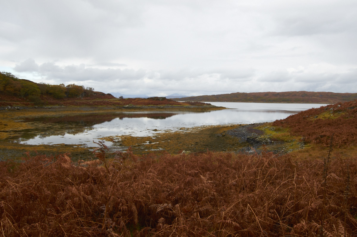Autumn near Arisig I