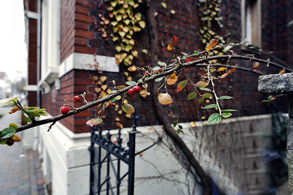 autumn