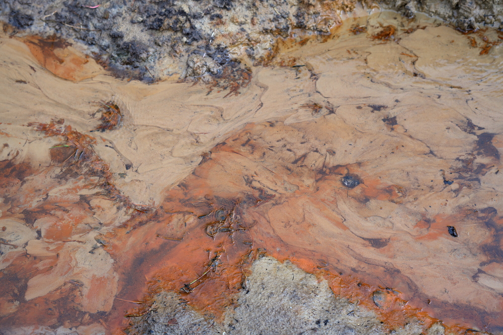 AZ7_0717.jpg