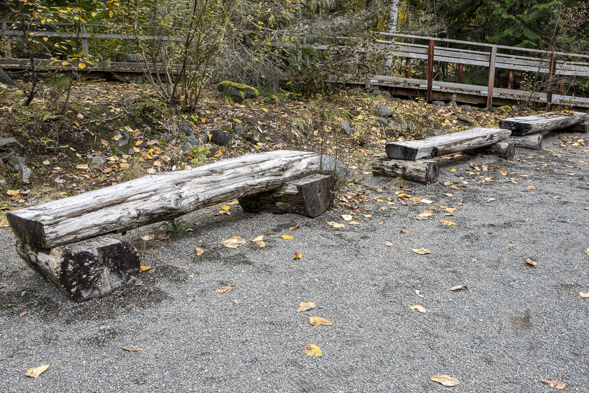 Bänke Mt Rainier NP.jpg