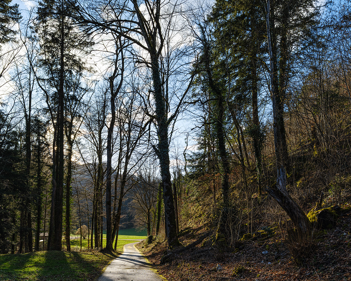 Büsserach_DSCF1881_12.jpg